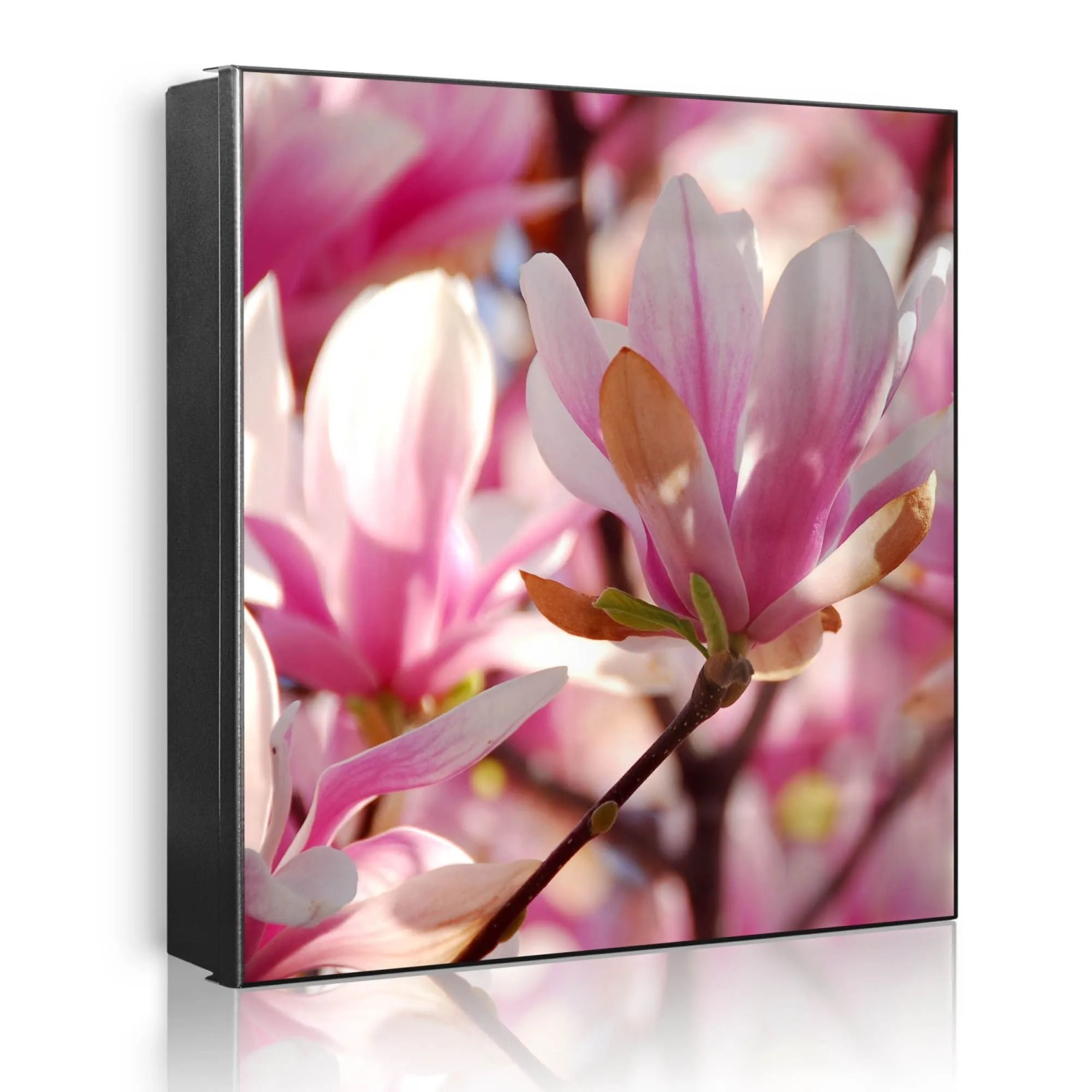 Banjado Großer Schlüsselkasten Metall 30x30cm Schwarz Scharnier Links 50 Haken Beschreibbar Magnetisch Motiv Magnolia