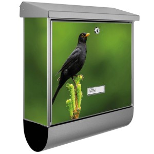 Edelstahl Briefkasten mit Vogel Motiv und Zeitungsfach. Moderner Wandbriefkasten für den Außenbereich.