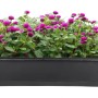 BigDean 3er Set Blumenkasten Mit Untersetzer 60 Cm Lang Rattan Optik Anthrazit Aus PP Kunststoff Balkon Pflanzkasten Schmal Balkonkasten BigDean 3er Set Blumenkasten mit Untersetzer 60 cm lang Rattan-Optik anthrazit - aus PP-Kunststoff - Balkon Pflanzkasten schmal Balkonkasten_6