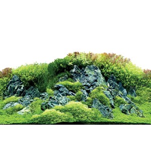 Hobby Fotorückwand Scaping Hill/Forest: Felsen und grüne Pflanzen für Aquarien-Hintergrund mit Tiefenwirkung.