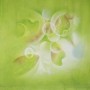 Walimex Pro Motiv-Stoffhintergrund 'Fresh' 3X6M
