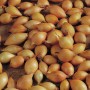 Steckzwiebeln der Sorte 'Birnförmige', 250g, für den Anbau im Garten.