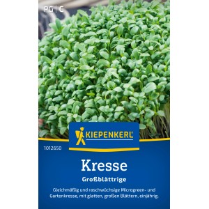 Kiepenkerl Kresse Glatte, großblättrige Kresse im Detail.