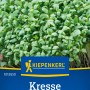 Kiepenkerl Kresse Glatte, großblättrige Kresse im Detail.