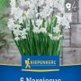 Kiepenkerl Zimmer-Narzisse Paperwhite, 5 Stück. Blumenzwiebeln mit weißen Blüten und grünen Stielen.