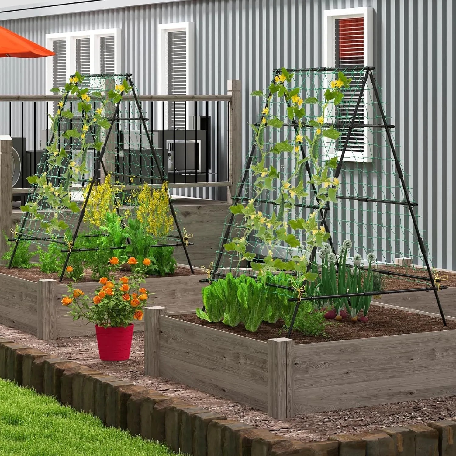 Costway Gurke Rankhilfe Set, A-förmig, mit Kletterpflanzen im Garten.