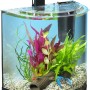 Tetra AquaArt II Explorer Line 30 l Aquarium-Set mit LED-Beleuchtung, Filter und Zubehör.