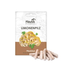 Hawlik Pilzbrut Myzel Dübelbrut Limonenpilze für Pilzzucht im Garten auf Strohballen und Holzstämmen