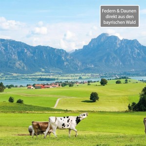 Bestlivings Kopfkissen 80x80 mit Federn und Daunen aus Bayern.