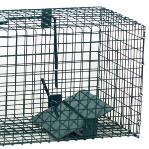 Moorland Safe Lebendfalle, 23x23x60cm, mit einem Eingang, geeignet für Ratten, Marder und Mäuse.