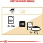 Fütterungstabelle für Royal Canin Maine Coon Adult Katzenfutter Nass, Dosierungsempfehlung.