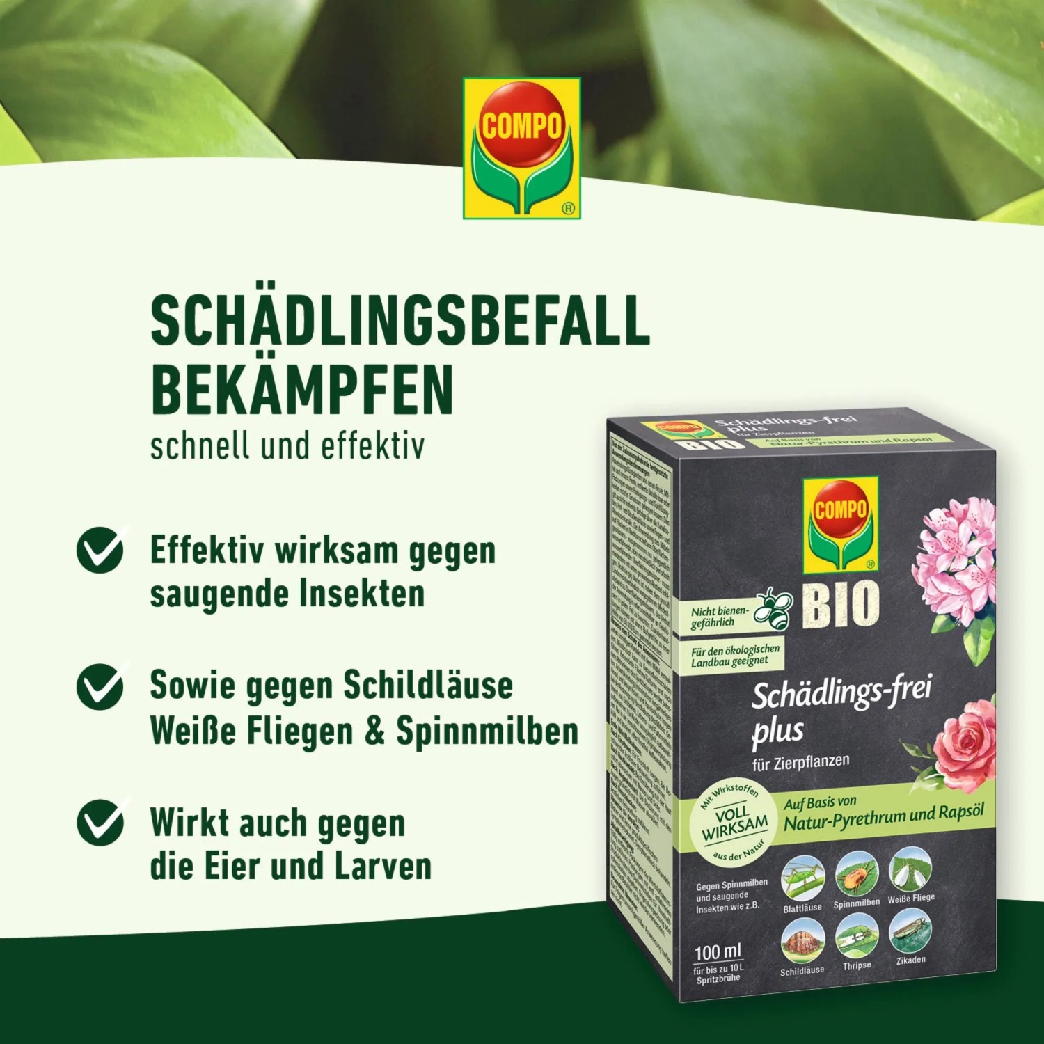 Compo Schädlingsfrei Plus 100ml: Mittel gegen Blattläuse, saugende Insekten, Schildläuse und Spinnmilben.