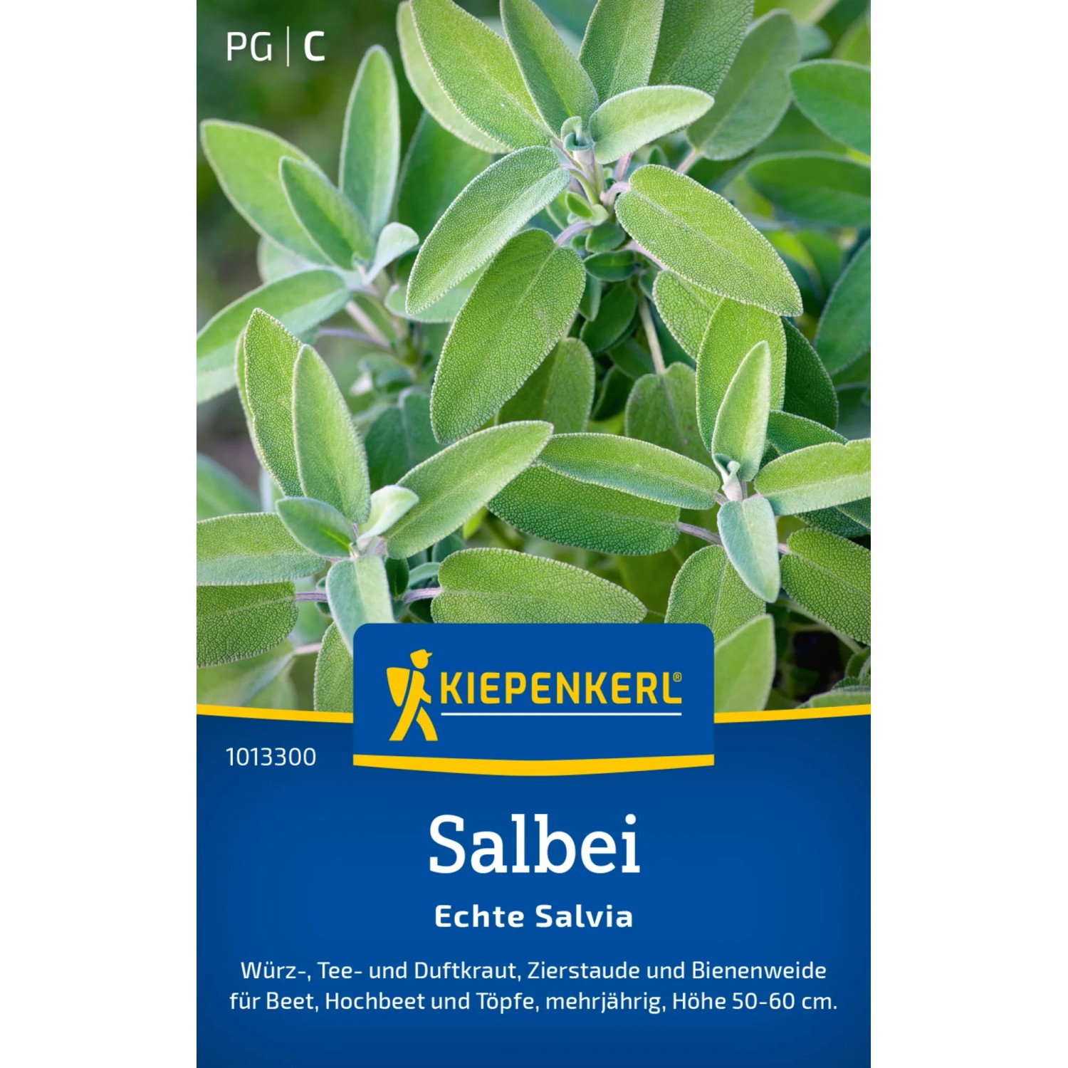 Kiepenkerl Salbei "Echte Salvia"