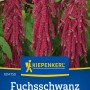 Kiepenkerl Fuchsschwanz Rot: Amaranthus-Samen für Beet, Schnittblumen und Trockensträuße.