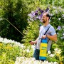 Mann nutzt Gloria Drucksprühgerät Primex 5 zur Pflanzenpflege im Garten.