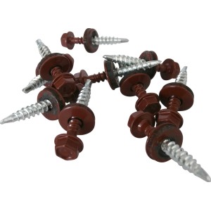 Easypan Schrauben, selbstschneidend, 20 mm, rot, 40 Stück für Dachbleche.