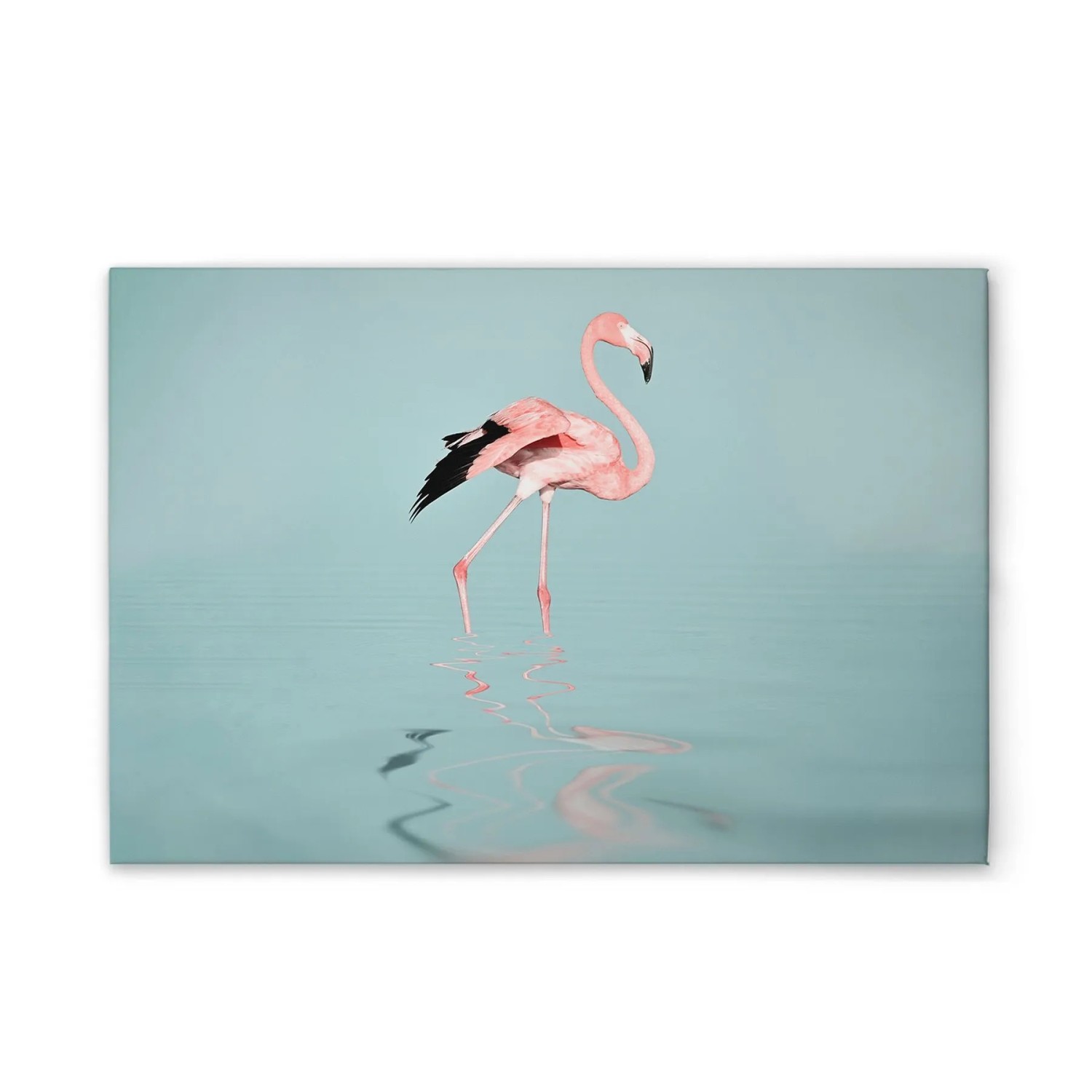 Tadessi Leinwandbild - M1-No.51079 - Flamingo im Wasser - 90 x 60 cm - Hochformat
