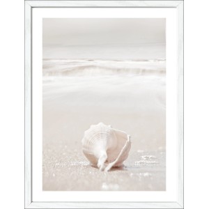 Pro Art Bild "At The Coast II" (40x30 cm) mit weißem Rahmen: Muschel am Strand.