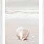 Pro Art Bild "At The Coast II" (40x30 cm) mit weißem Rahmen: Muschel am Strand.