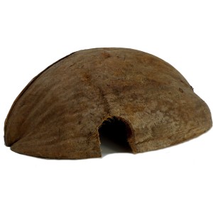 Kokoshöhle, halbiert, als Versteck für Terrarium-Tiere wie Schlangen, Spinnen und Nager.