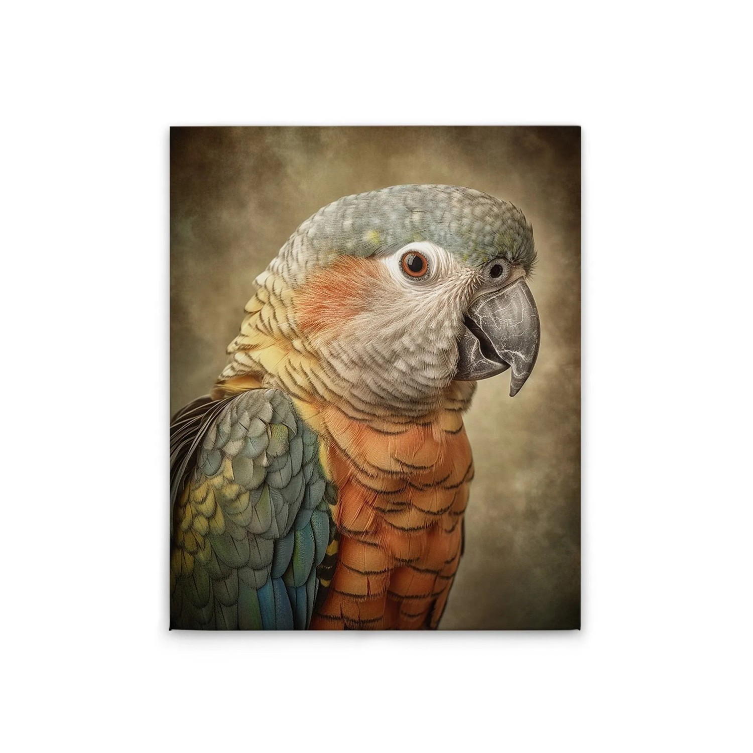 Tadessi Leinwandbild - M1-No.52250 - Papagei - 40 x 50 cm - Querformat