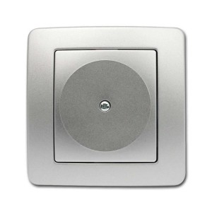 Silberne TEM EKONOMIK Blinddose zur Abdeckung von Schalterprogrammen.