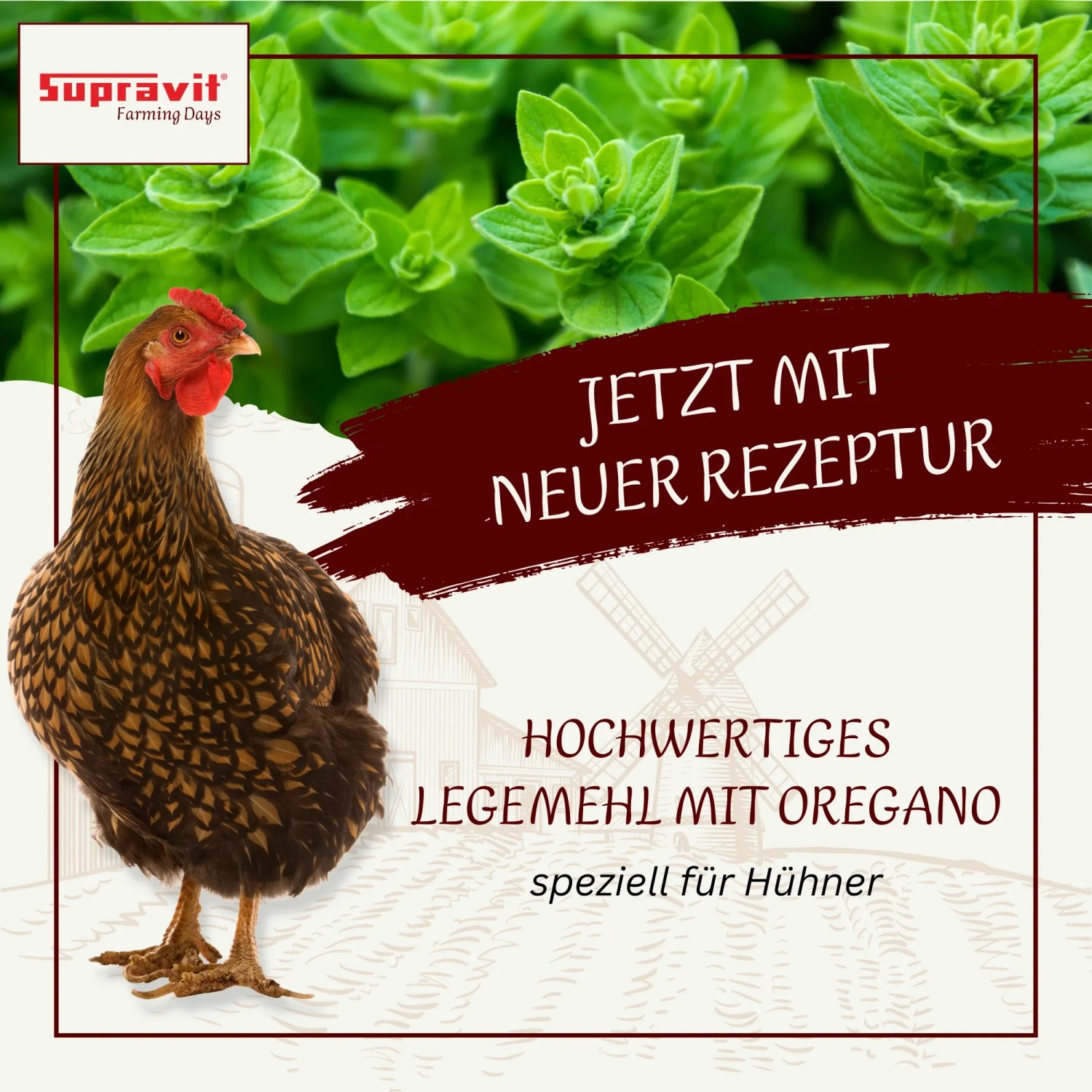 Supravit Legemehl für Hühner Geflügel_2