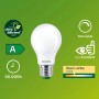 Matte Philips LED E27 Glühbirne, 4W, 840lm. Dimmbar, warmweißes Licht, lange Lebensdauer.