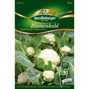 Samentüte Quedlinburger Blumenkohl 'Multi Head' mit mehreren kleinen, weißen Blumenköpfen.