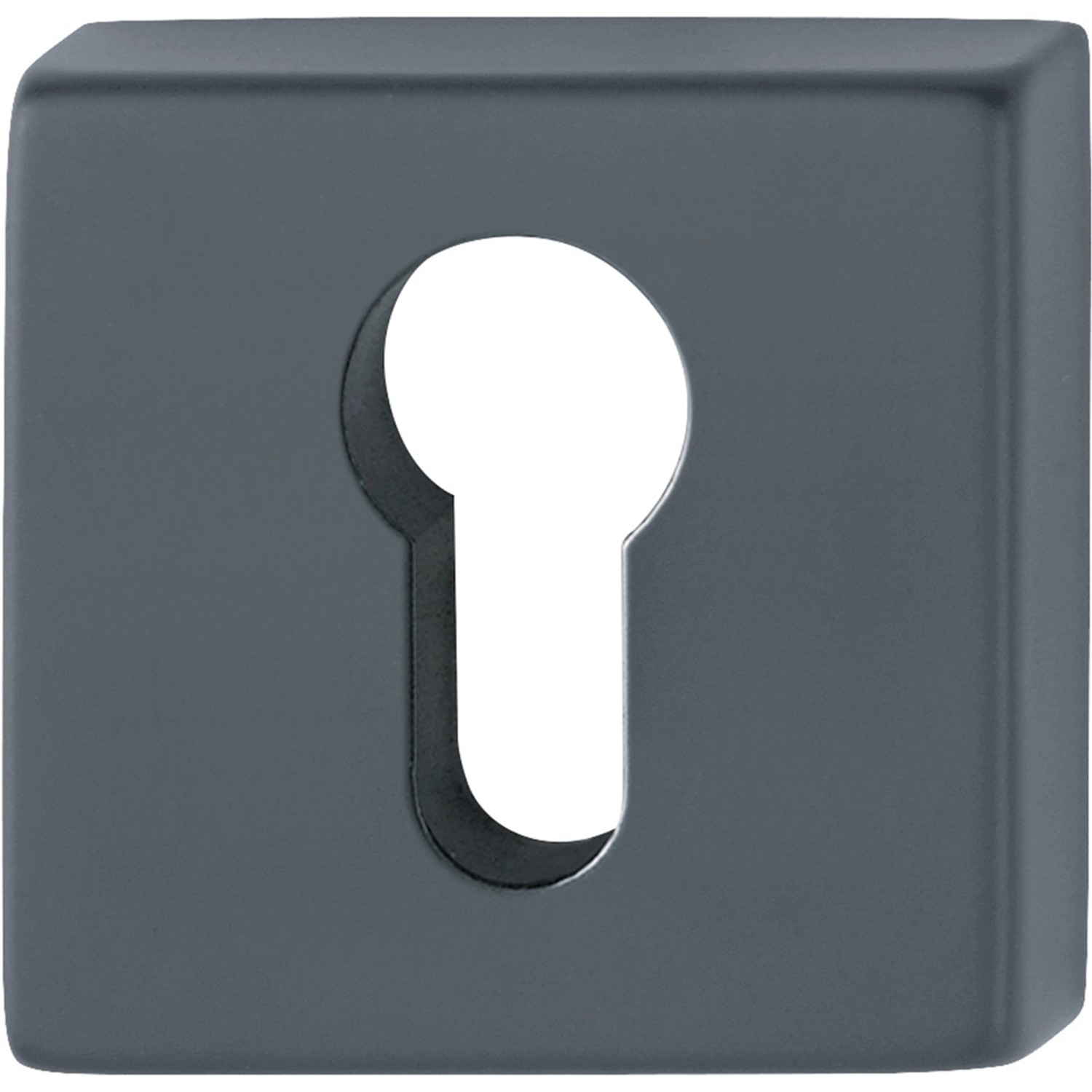 AnsaPro Rosettenpaar Thelon mit PZ-Lochung 37 mm - 42 mm Edelstahl Schwarz