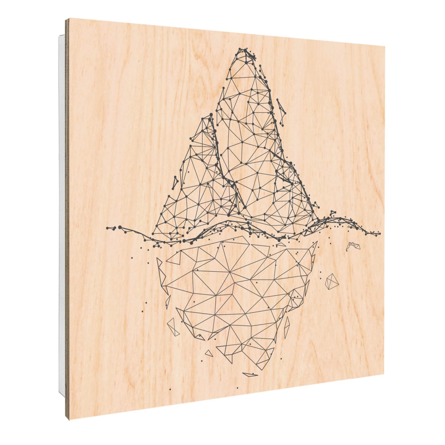 Banjado Schlüsselkasten mit Holzfront 30x30cm Weiß Scharnier Links 50 Haken günstig online kaufen