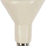 Kerbl Keramik-Dunkelstrahler 100 W für Geflügelzubehör, Infrarotlampe mit Keramikbeschichtung.