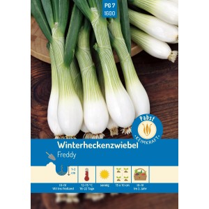 Pabst Winterheckenzwiebel Saatgut, mehrjährig und mildwürzig. Frischer Zwiebellauch für Salate und Eierspeisen.