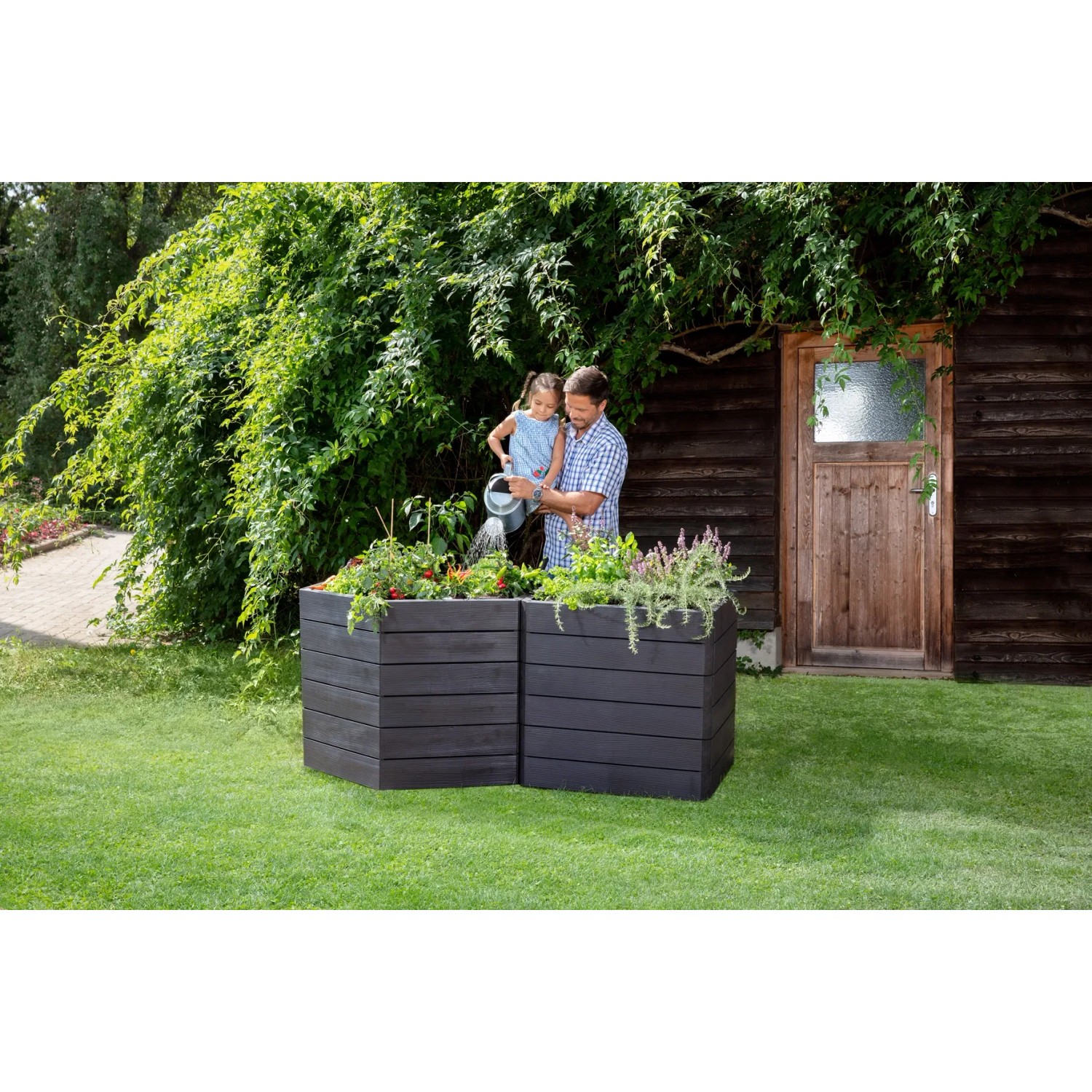 Garantia Hochbeet Ergo Vario 3 Wood mit Mann und Kind beim Gießen im Garten.