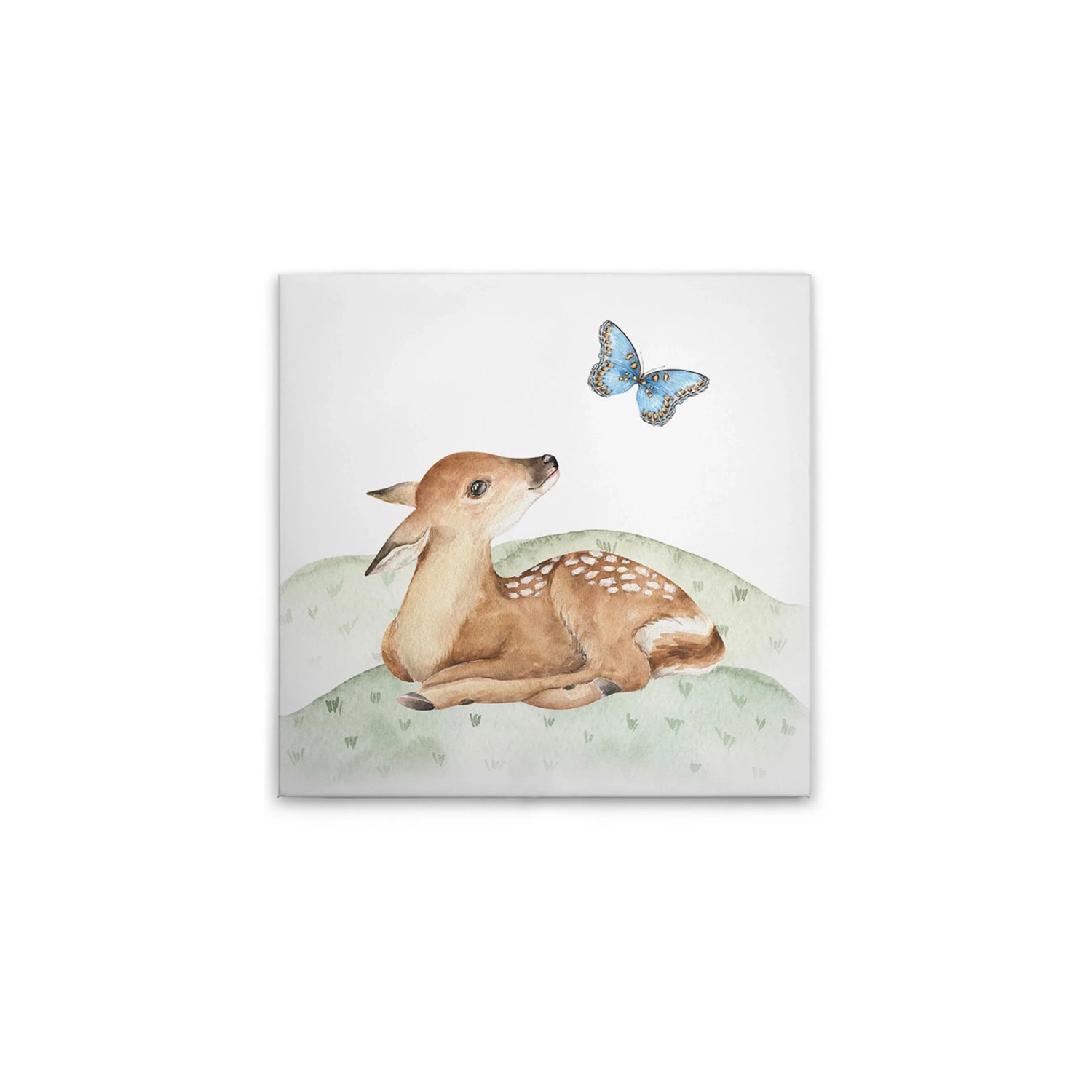 Tadessi Leinwandbild - M1-No.50612 - Waldtiere - 30 x 30 cm - Quadratisch