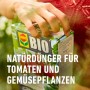 Compo Bio Tomaten Langzeit-Dünger mit Schafwolle, 750g Packung in der Hand.