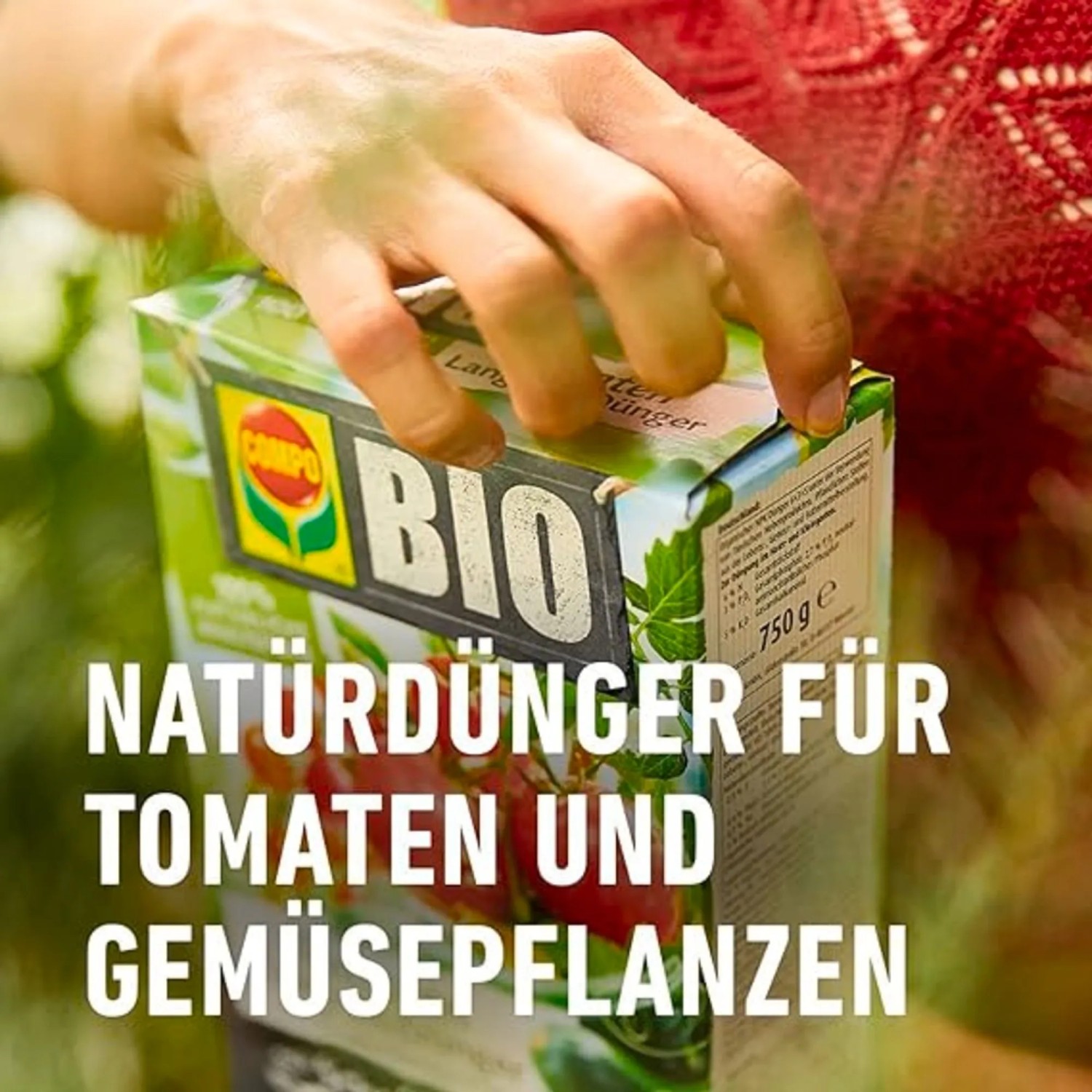 Compo Bio Tomaten Langzeit-Dünger mit Schafwolle, 750g Packung in der Hand.