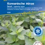 Kiepenkerl Koreanische Minze Seoul Samenpackung mit Minze Pflanzen im Beet.