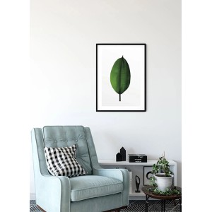 Komar Wandbild Ficus Leaf, 30x40 cm, mit grünem Blattmotiv im schwarzen Rahmen.