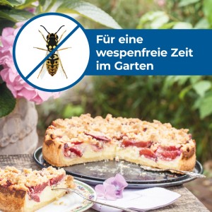 Protect Home Wespenschaum + FormineX 600 ml