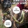 Hund mit verstellbarer, grüner Rudelkönig Führleine Frida aus Nylon, 230 cm lang.