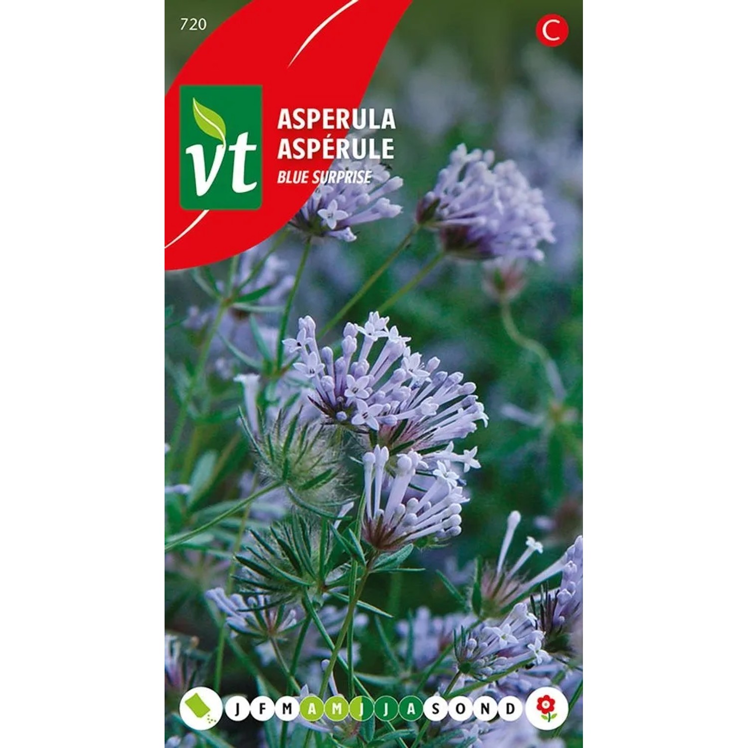 Asperula 'Blue Surprise' Samen Ca. 0,5 g Blaue Blüten