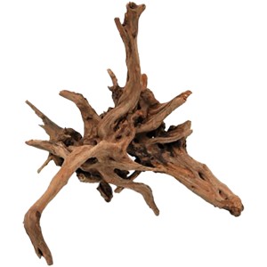 Aquariendekoration Treibholz S, ca. 15-25 cm, geeignet für Aquarien und Terrarien.