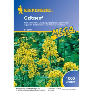 Kiepenkerl Gelbsenf, 1 kg Sämereien zur Gründüngung mit gelben Blüten.