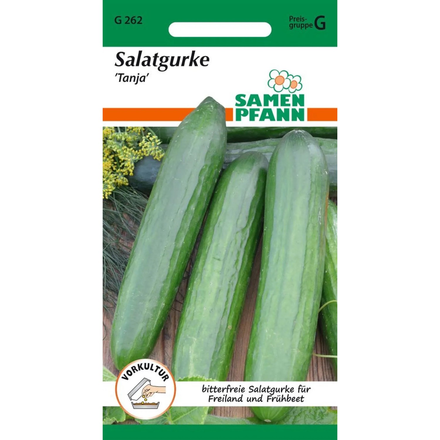 SAMEN PFANN Salatgurke Tanja