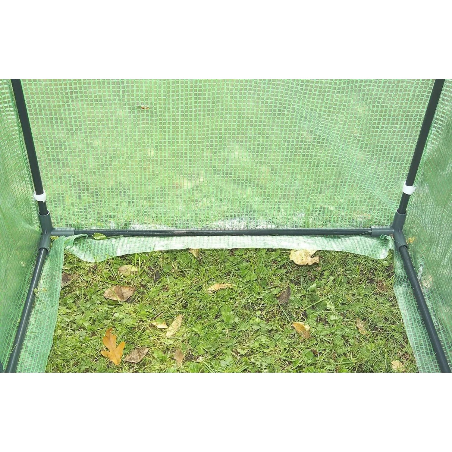 Westfalia Tomaten-GewÄChshaus GroSS 200 X 77 X 170 cm Kunststoff_5