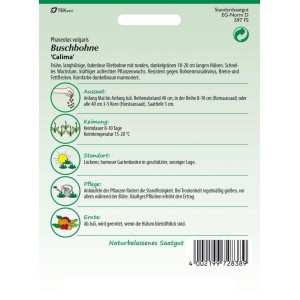 SAMEN PFANN Buschbohne Calima Filetbohne