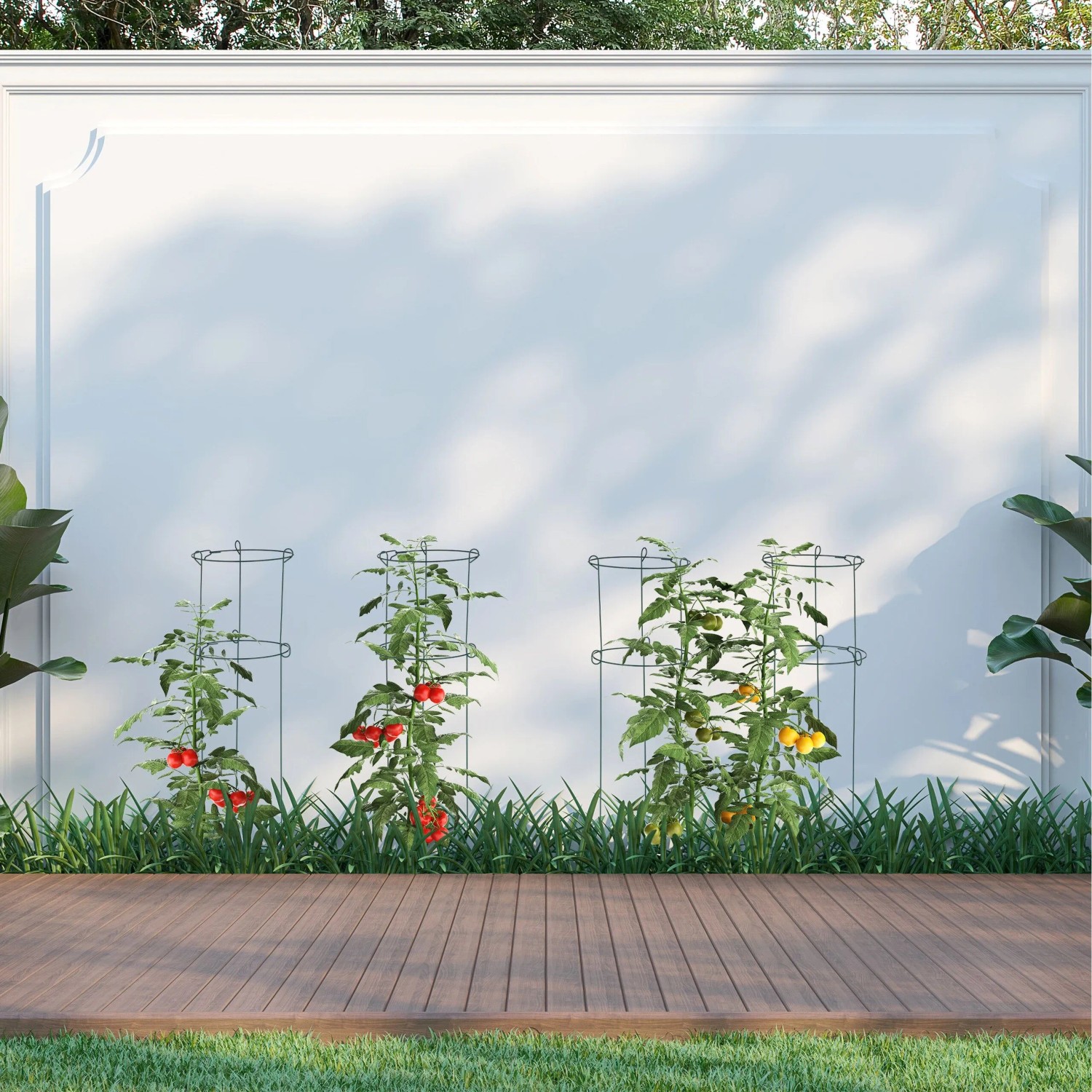 Vier dunkelgrüne Rankhilfen aus Stahl stützen Tomatenpflanzen mit roten und gelben Früchten im Garten. 75,5 cm hoch.