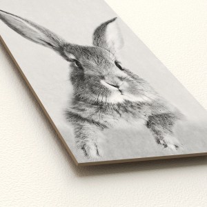 Pro Art Dekopanel Rabbit, 30x15 cm, Schwarz-Weiß-Bild eines Hasen.