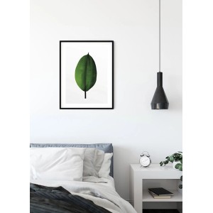 Komar Wandbild Ficus Leaf, 40x50 cm, grünes Blatt im schwarzen Rahmen.